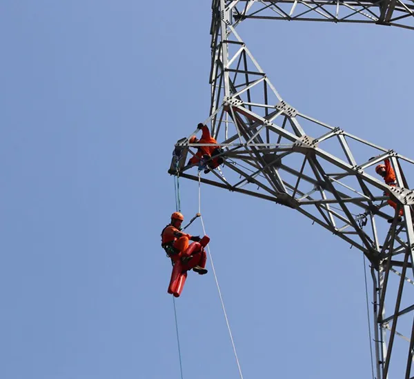 Power Utility Repairing